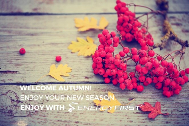 Have a Beautiful Autumn with EnergyFirst