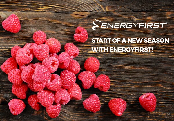 Start of a new season with EnergyFirst