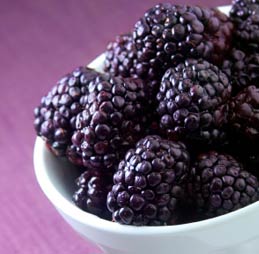 Protein Shake Recipes