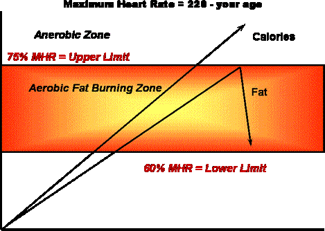 Aerobic Workout Heart Rate Chart