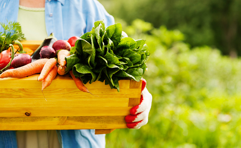 buying-organic-worth-the-cost-lg.jpg