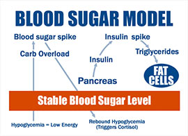 Blood Sugar Model